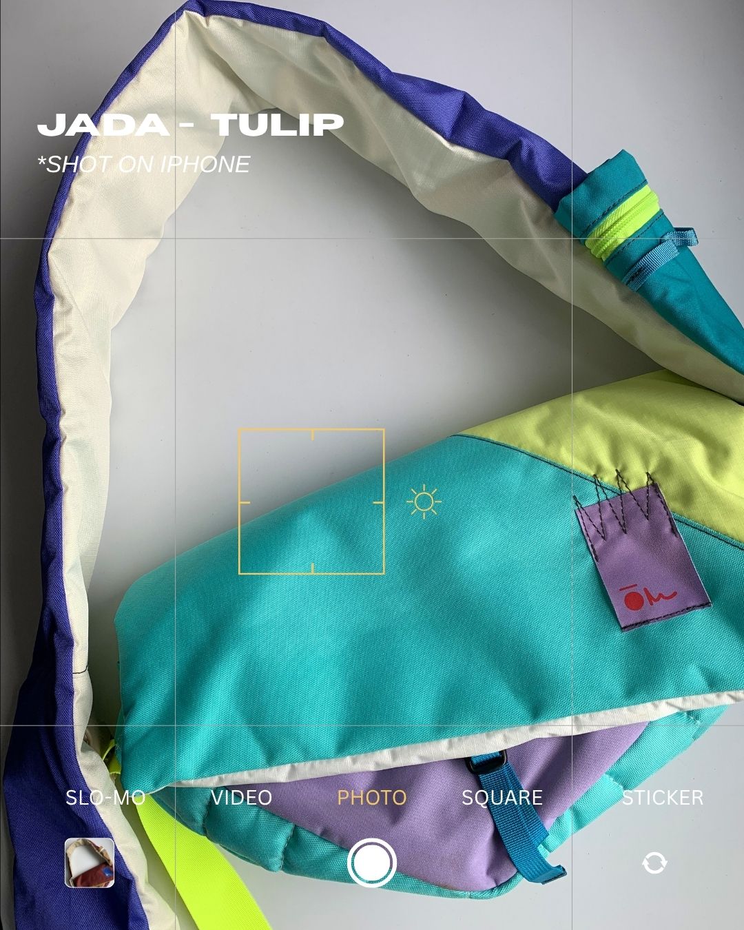 JADA - Tulip