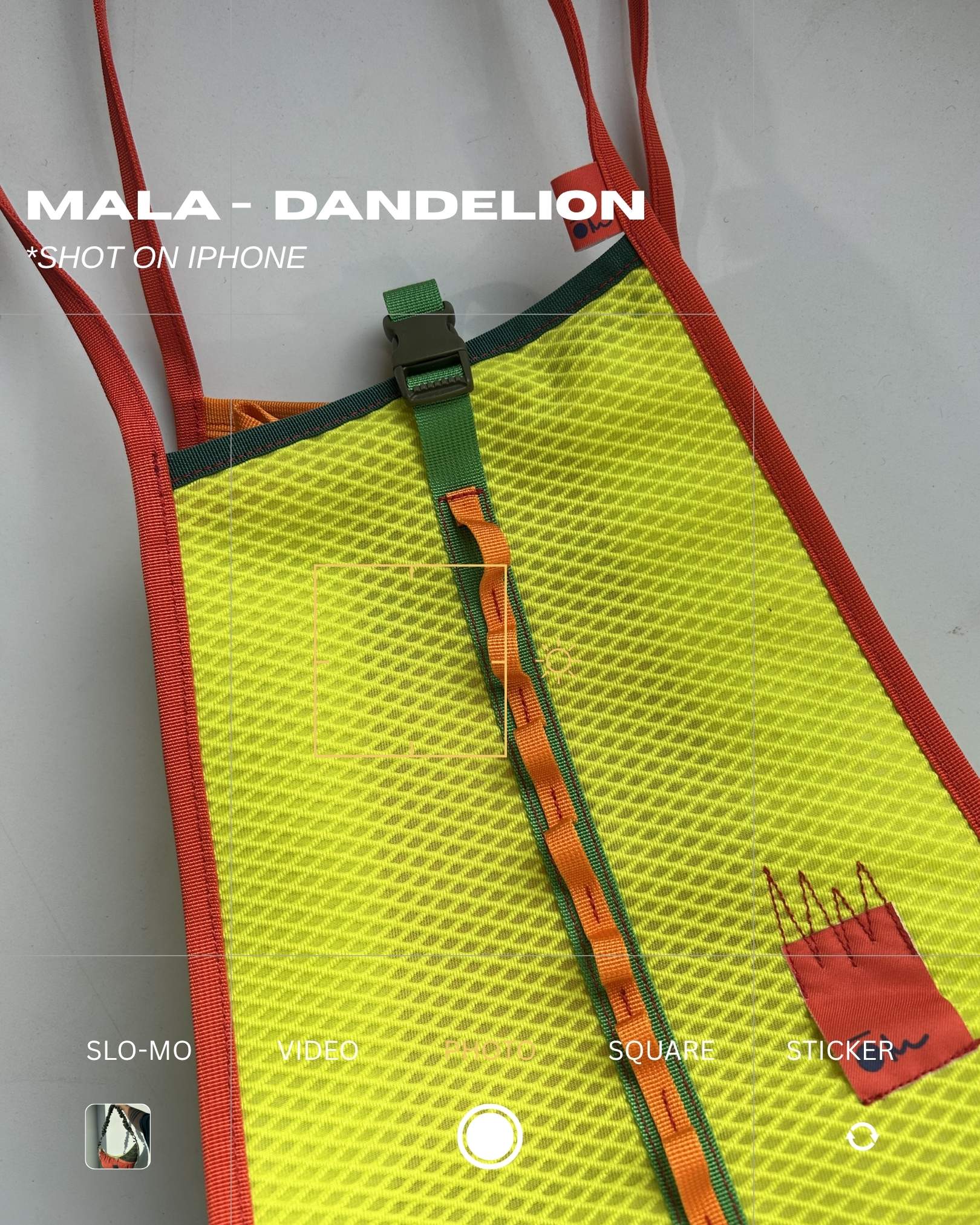 MALA - Dandelion